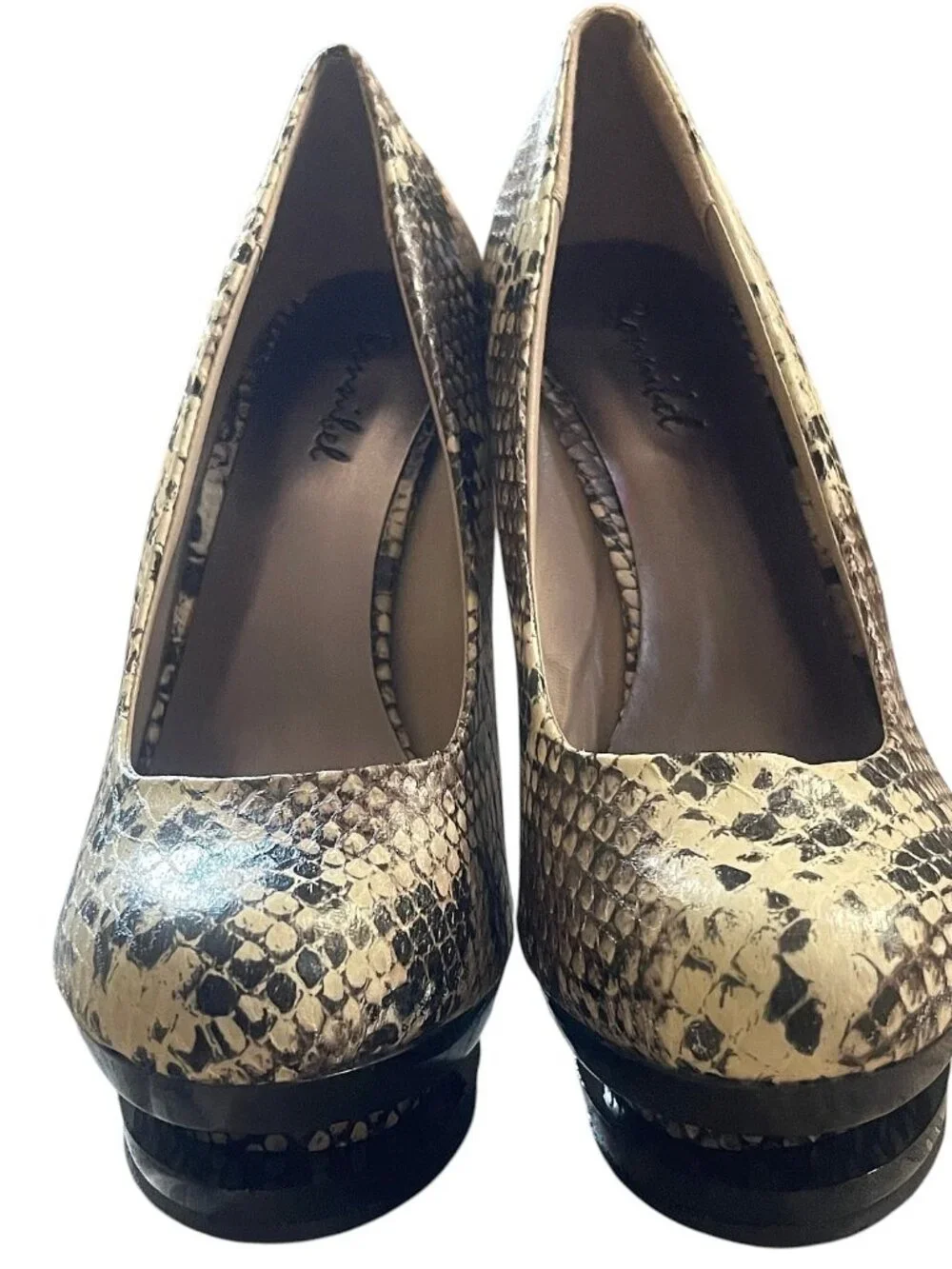Bonnibel Reggie-3 Beige Snakeskin Embossed (PU) Platform Stiletto Pumps